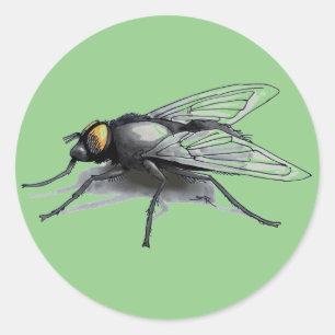 Grand autocollants ronds gris Fly Buddy