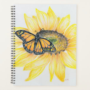 Grand banc Monarque & tournesol