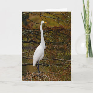 Grand blanc Egret Fall Leaves Carte de voeux