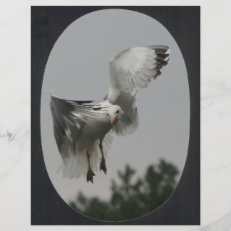 Grand cadre ovale (noir)