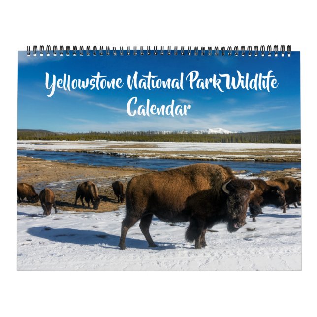 Grand calendrier de Yellowstone - Calendrier fauni (Protection)
