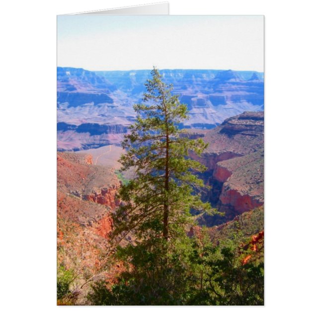 grand canyon (Devant)