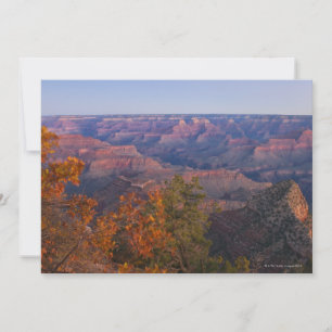 Grand Canyon à Sunrise