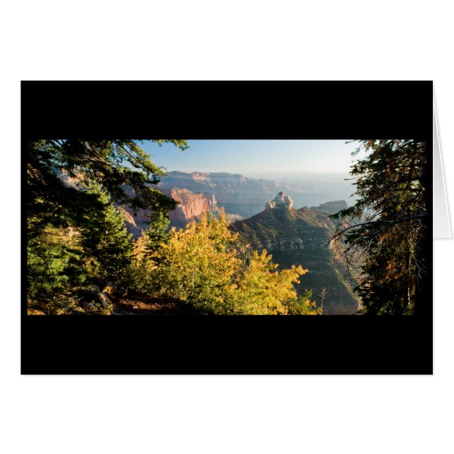 Grand Canyon avec bouleau doré (Devant horizontal)