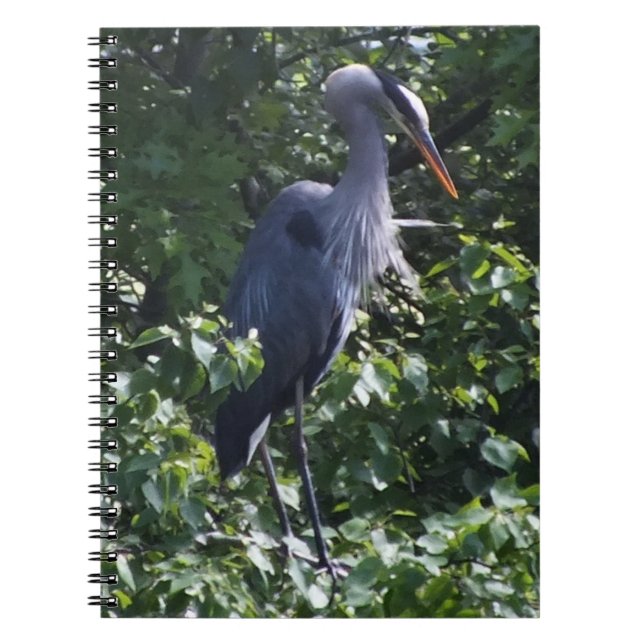 Grand Carnet de Héron Bleu (Devant)