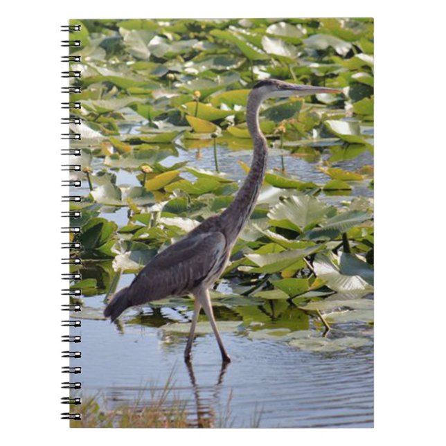 Grand Carnet de Héron Bleu (Devant)