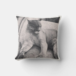 Grand Coussin de chats