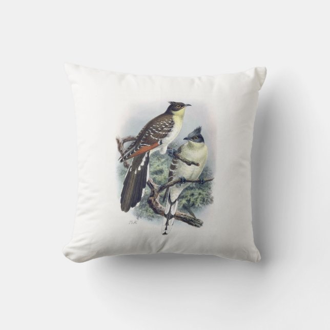 Grand Coussin d'oiseaux de Cuckoo tacheté (Recto)