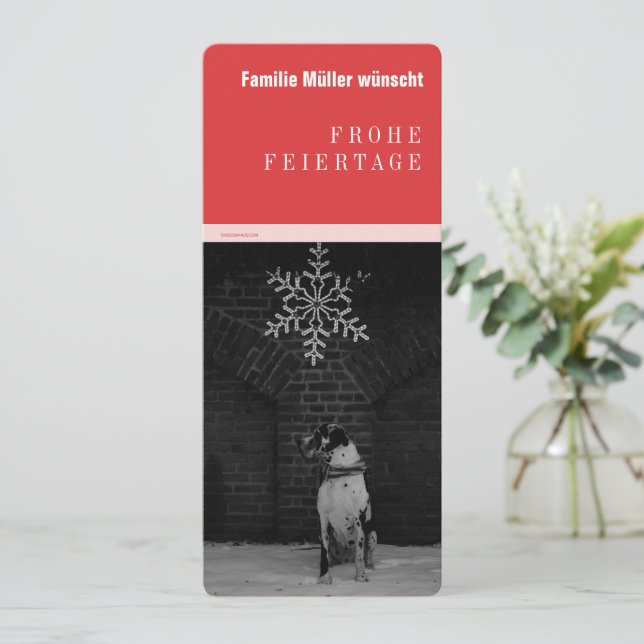 Grand Dane noir rouge (Debout devant)