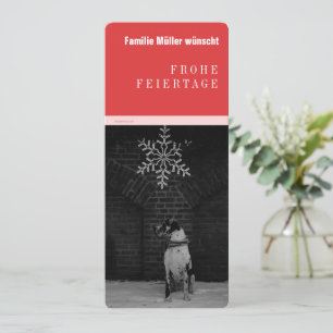 Grand Dane noir rouge