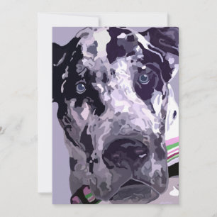 Grand Danois Harlequin Carte - excellent prix !