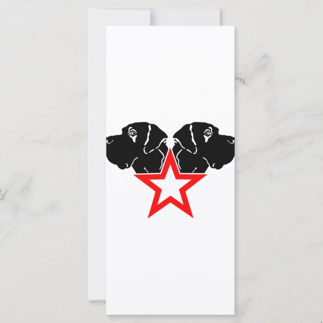 Grand Danois Tête d'étoile (Devant)