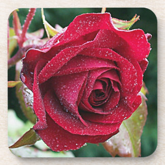 Grand Dessous de verre à fleurs rouges humides (6)