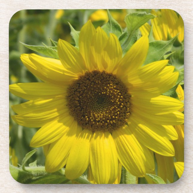Grand Dessous de verre de liège tournesol (Devant)