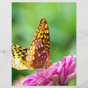 Grand Fritillaire