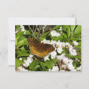 Grand Fritillaire Éclatant sur Kalmia à Feuilles d