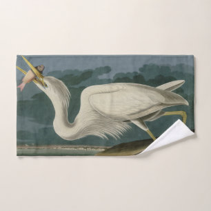 Grand héron blanc, des Oiseaux d'Amérique d'Audubo