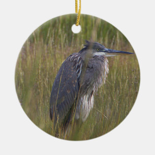 Grand Héron bleu Ornement d'oiseau