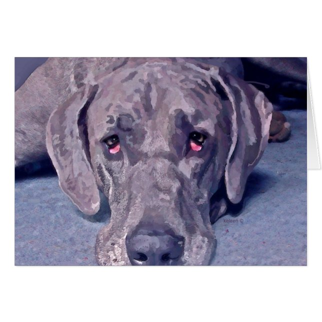 Grand héros Dane (Devant Horizontal)