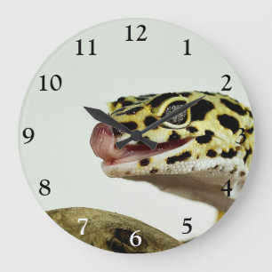 Grand horloge Leopard Gecko