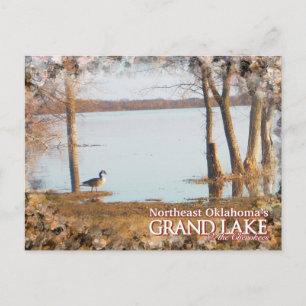 Grand Lake Oklahoma carte postale aigrette