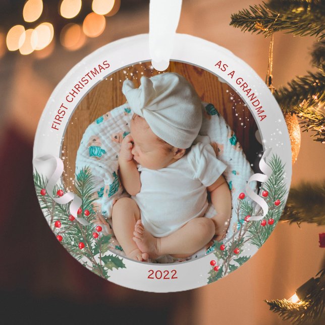 Grand-mère 1er cadre Plante classique en argent de (Créateur téléchargé)