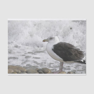 Grand papier de soie de soie à dos noir de mouette