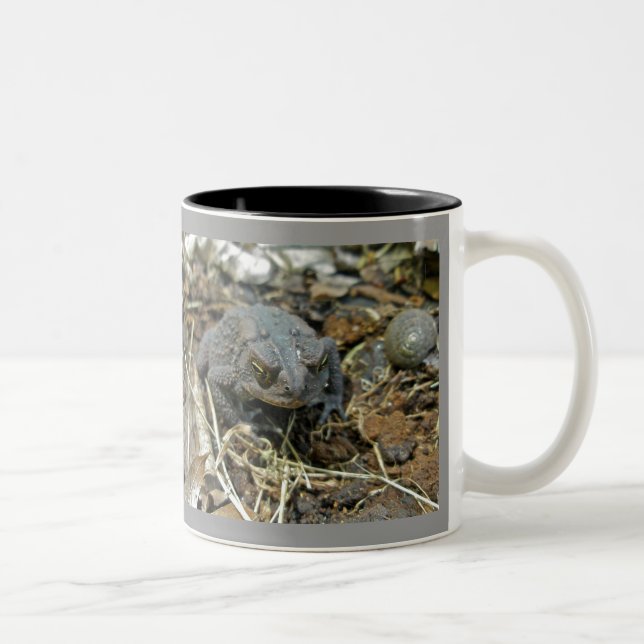 Grand-père Toad Mug (Droit)