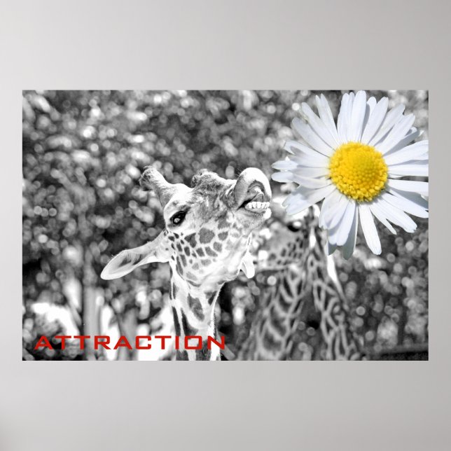 Grand Poster d'Attraction de Giraffe! (Devant)