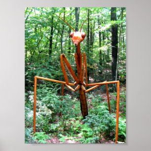 Grand Poster de Mantis