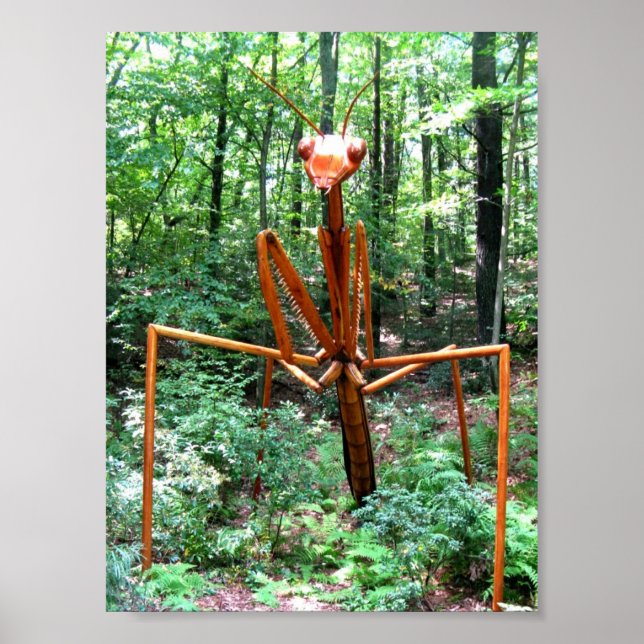 Grand Poster de Mantis (Devant)