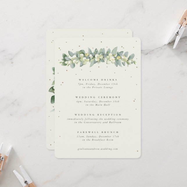 Grand Programme de Mariage Crème et Eucalyptus ave (Devant/Arrière en situation)