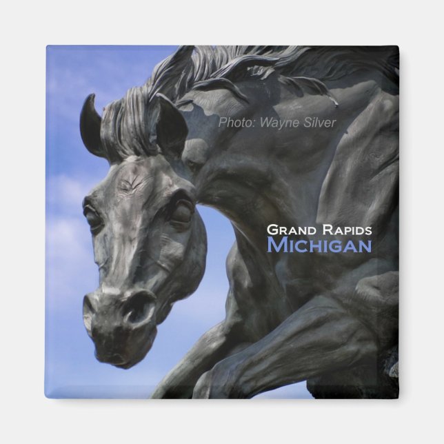 Grand Rapids Michigan Magnet Travel Souvenir (Devant)