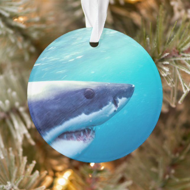 Grand requin blanc | Afrique du Sud (Arbre)