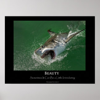 Grand requin blanc "Beauté" Poster
