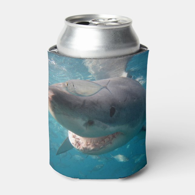 Grand requin blanc Gros plan Glacière sous-marin (Can devant)