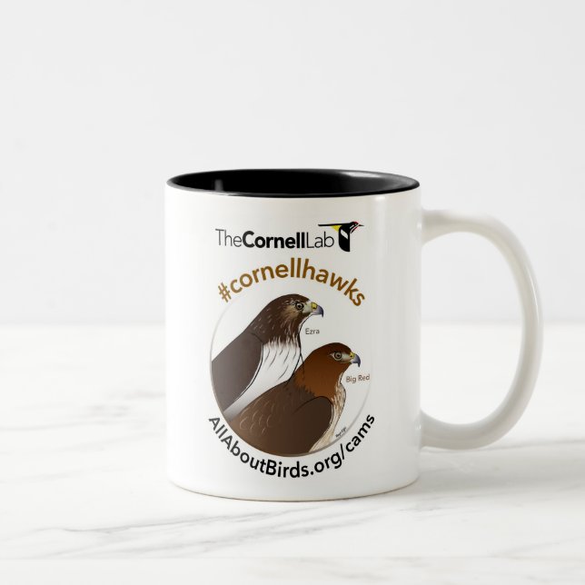 Grand rouge et tasse d'illustration d'Ezra (Droit)