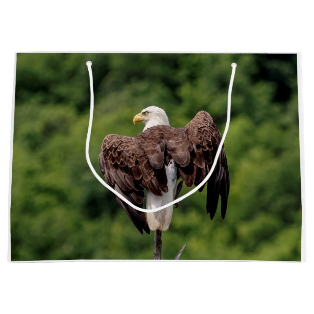 Grand Sac Cadeau Aigle de Bald sur une branche (Devant)