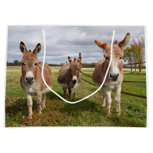Grand Sac Cadeau Âne trois