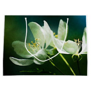 Grand Sac Cadeau Apple Blossom - Deux Fleurs