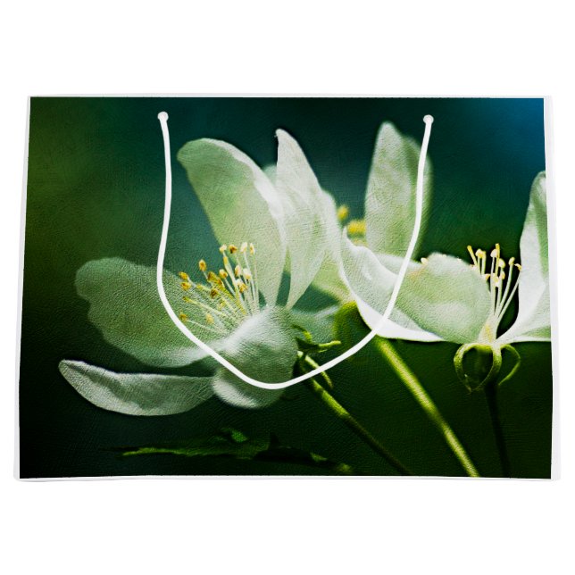Grand Sac Cadeau Apple Blossom - Deux Fleurs (Devant)