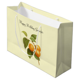 Grand Sac Cadeau Aquarelle vintage Orange Apricot dessin Anniversai