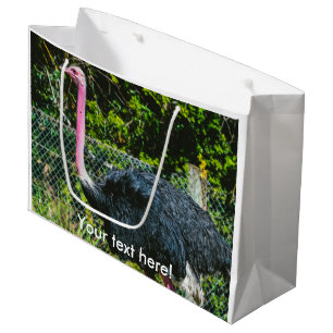 Grand Sac Cadeau Autruche