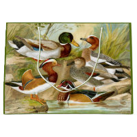 Beaux Canards Vintages À La Faune De L'Étang