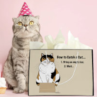 Boîte à humour de chat calicot beige drôle prise