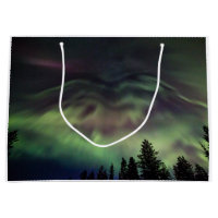 Borealis de l'aurore en Laponie finlandaise
