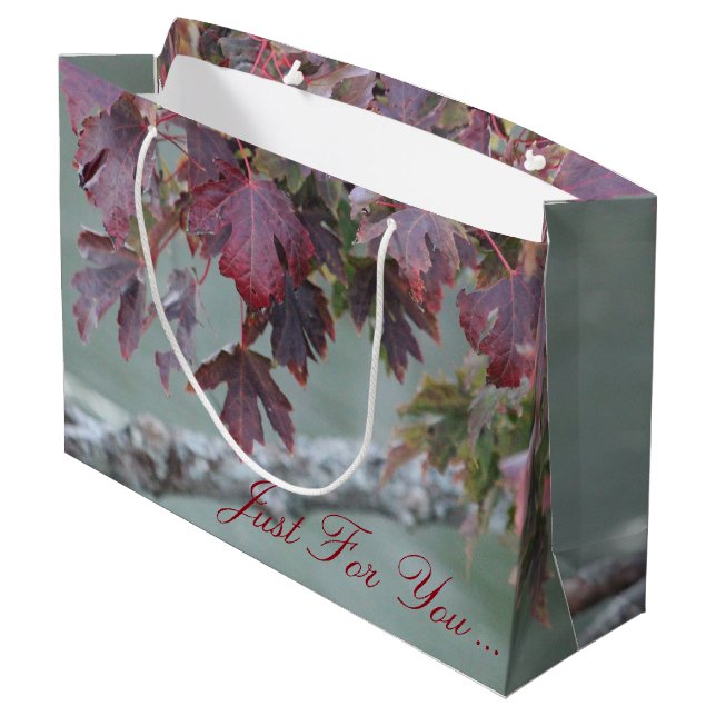 Grand Sac Cadeau Boutique (Dos Angle)