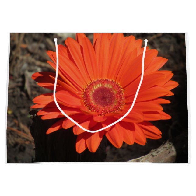 Grand Sac Cadeau Bright Orange Gerbera Daisy Photo (Devant)