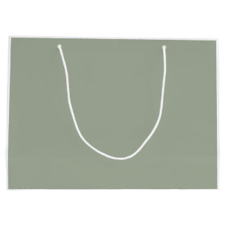 Grand Sac Cadeau Cactus simple de vert sauge