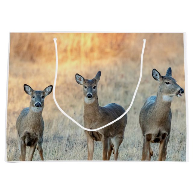 Grand Sac Cadeau Cerf dans un champ (Devant)